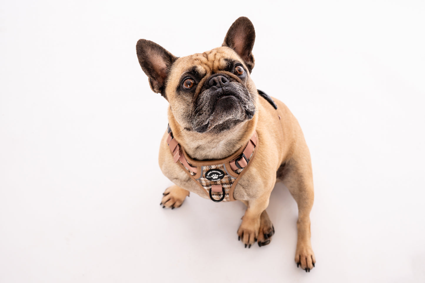 The Cream Tweed Lead