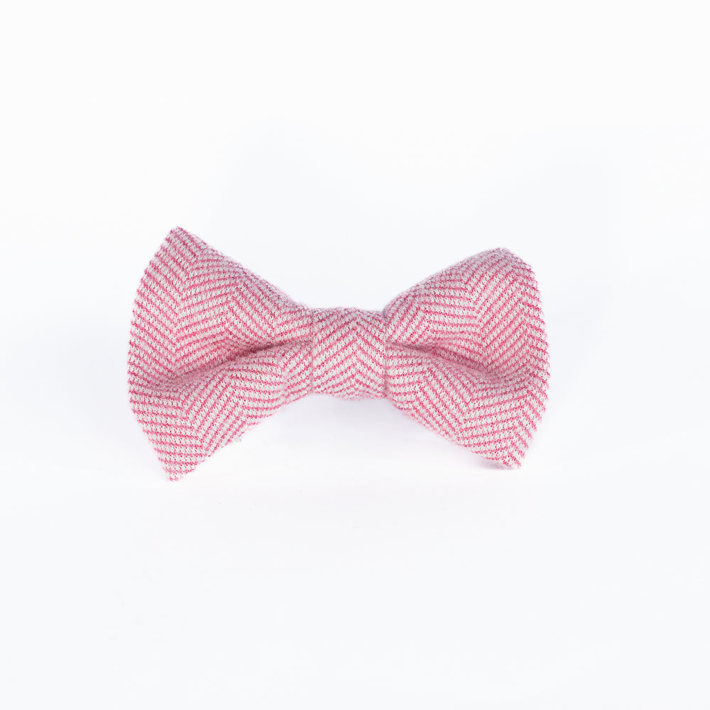 Dog Bow Tie
