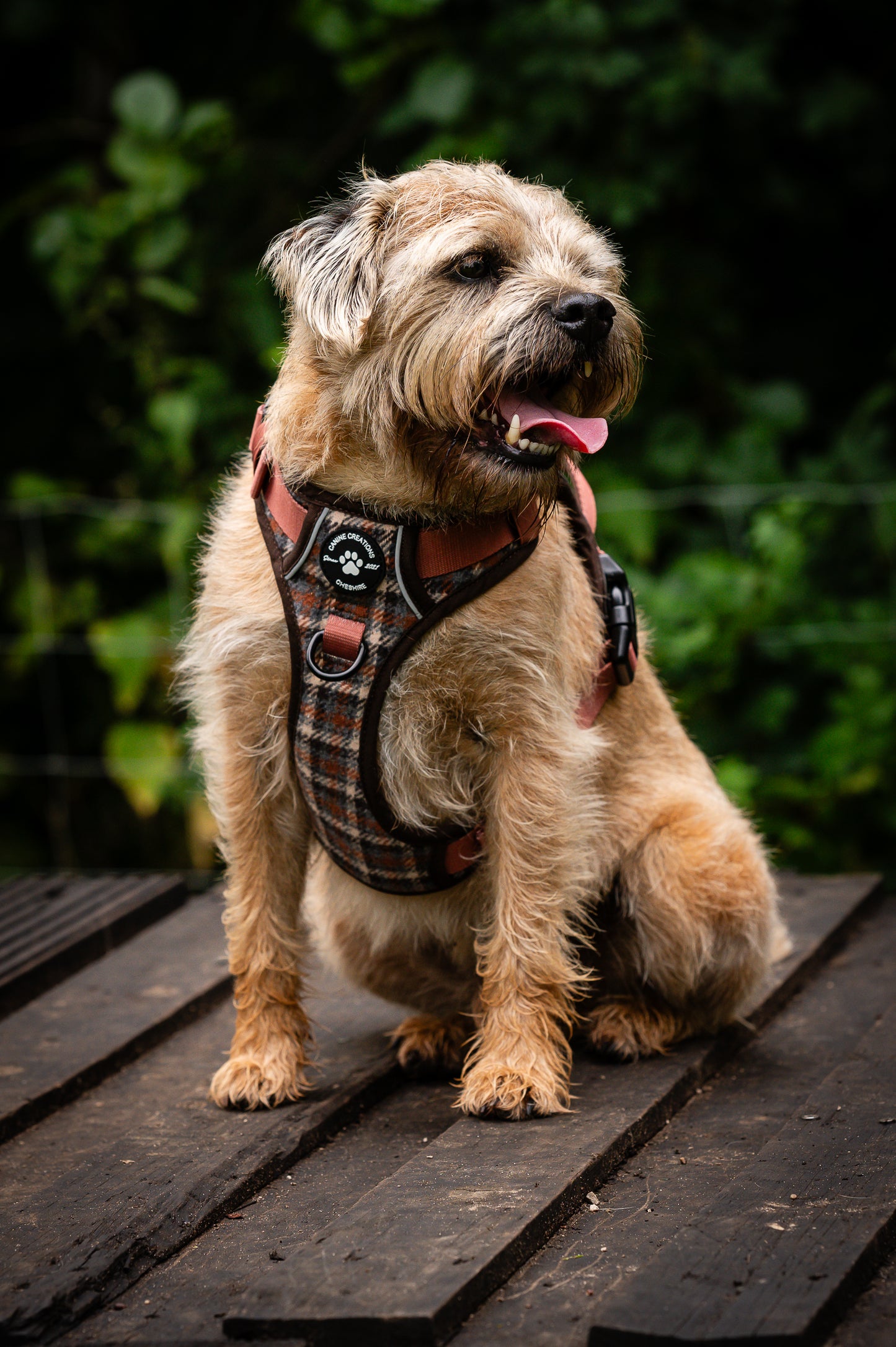 The Brown Tweed Harness