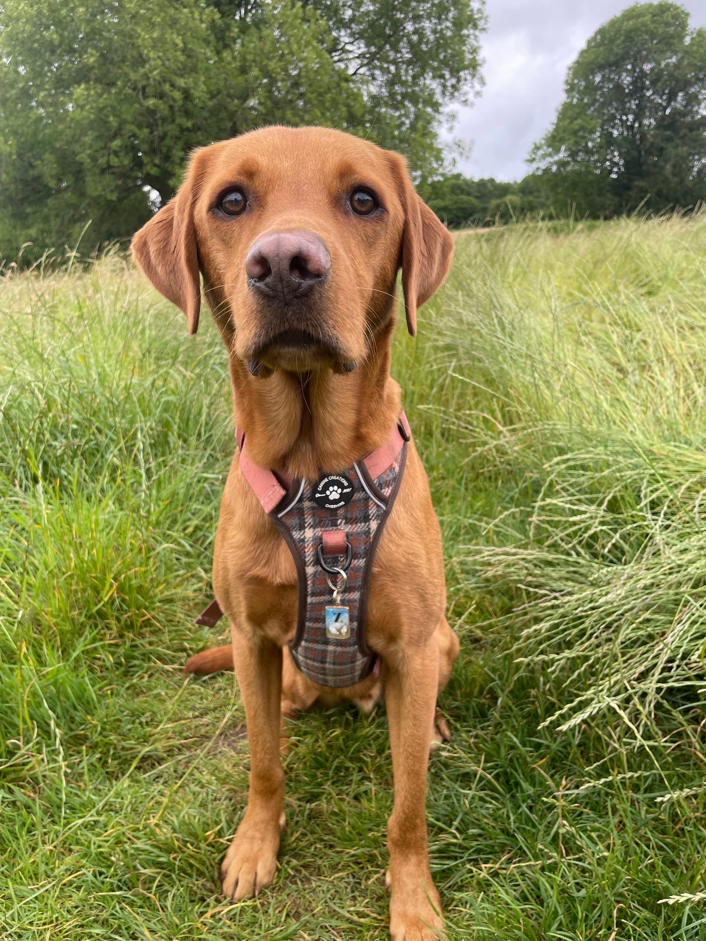 The Brown Tweed Poo Bag Holder