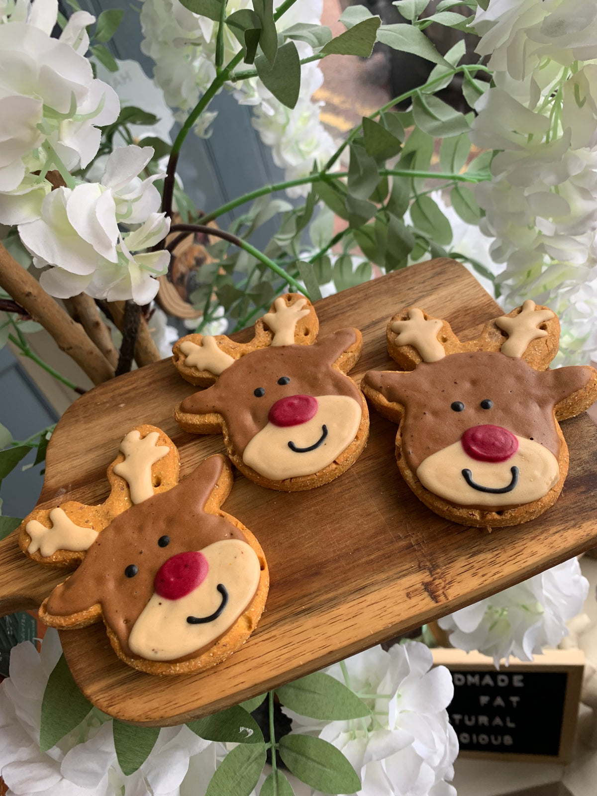 Reindeer