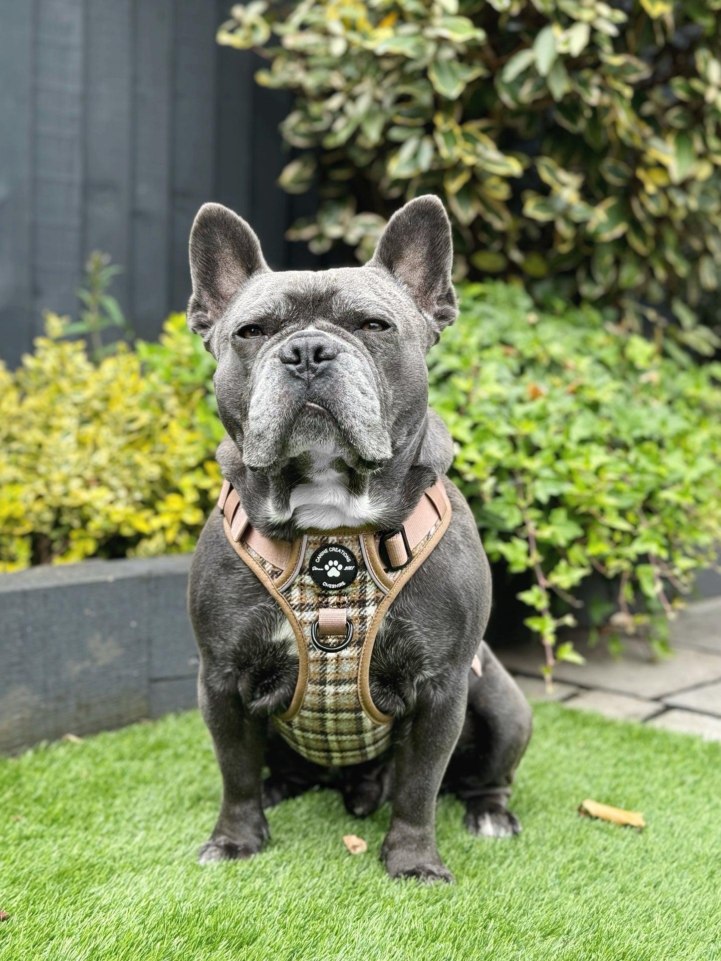 The Cream Tweed Poo Bag Holder