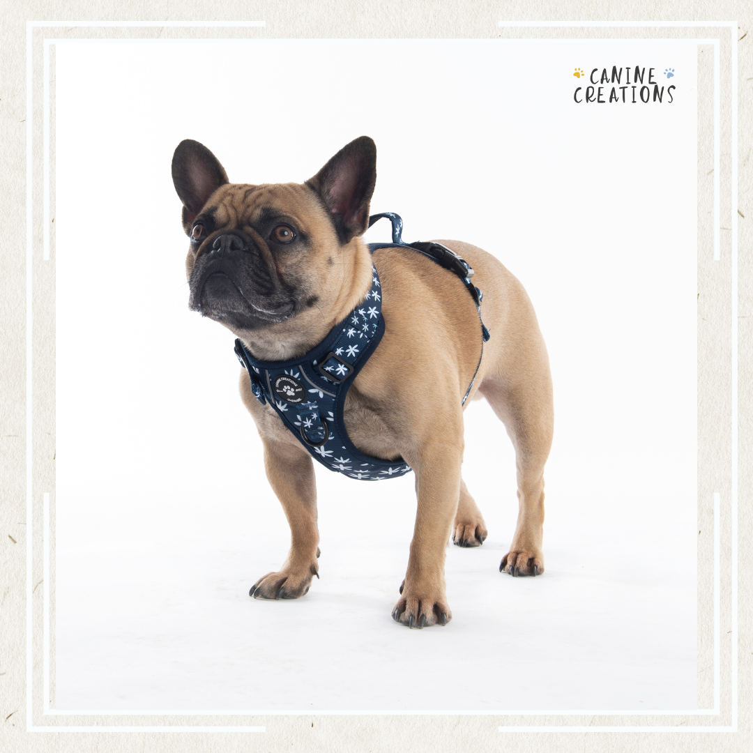 The Floral Harness