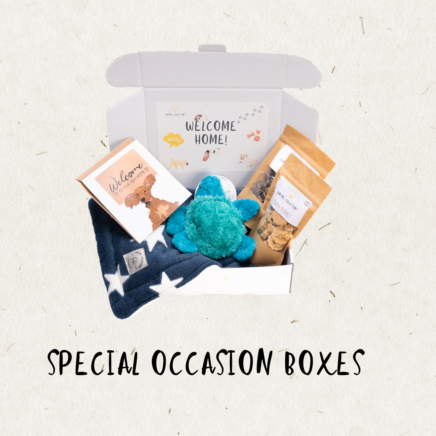 Special Occasion Boxes