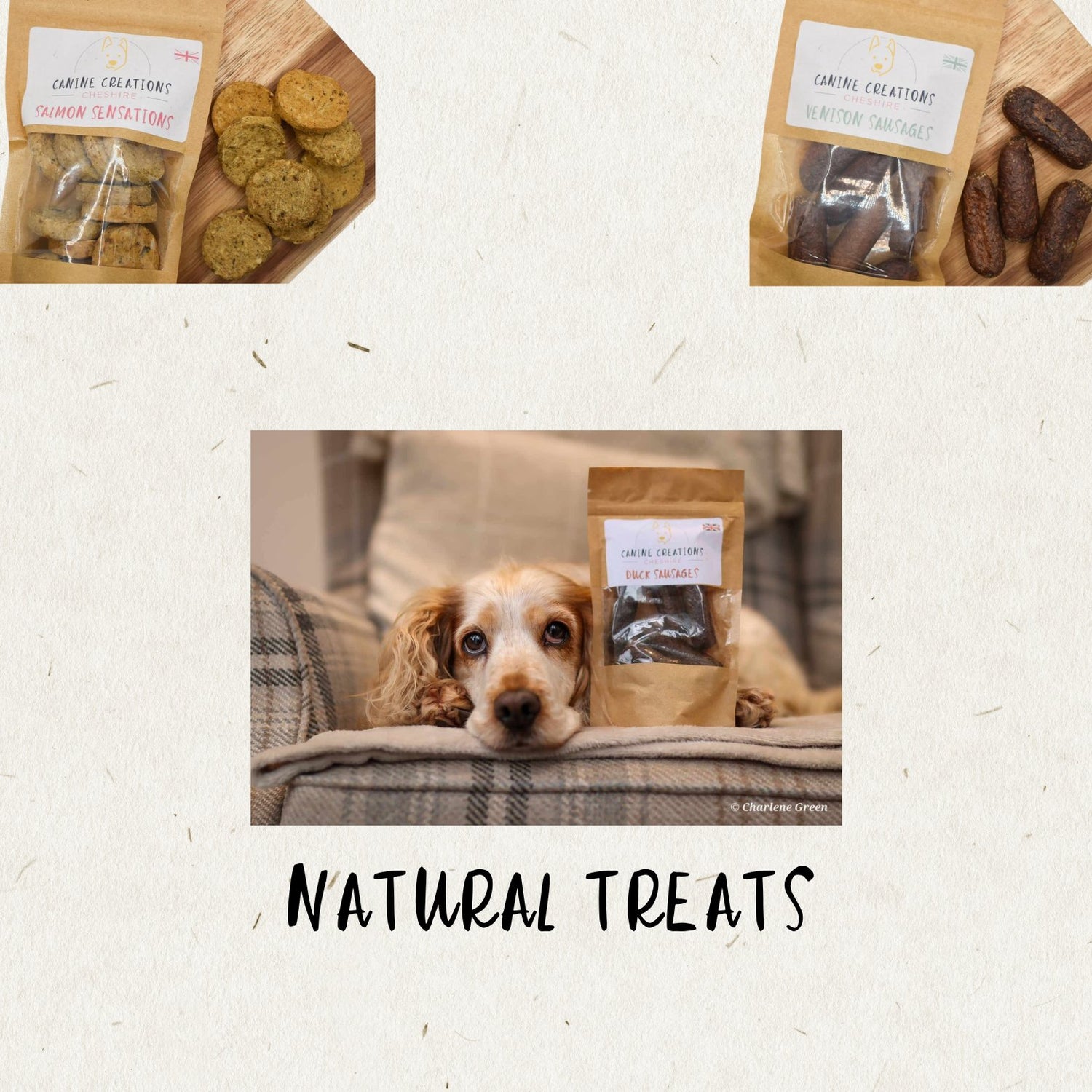 Tasty Treats your dog will love!