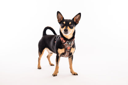Harness, Lead & Poo Bag Bundle - Brown Tweed