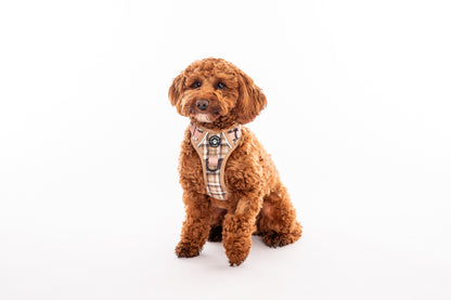 The Cream Tweed Poo Bag Holder