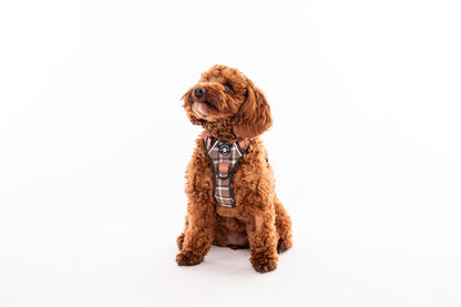 Harness, Lead & Poo Bag Bundle - Brown Tweed