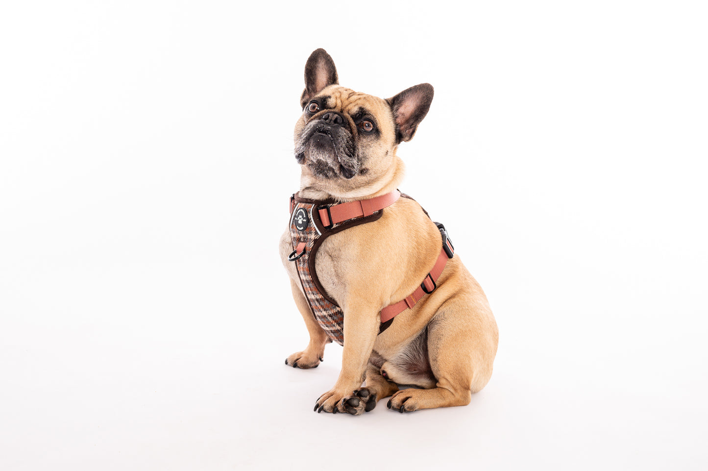 The Brown Tweed Poo Bag Holder
