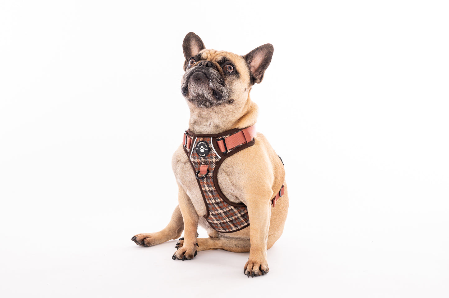 Harness, Lead & Poo Bag Bundle - Brown Tweed