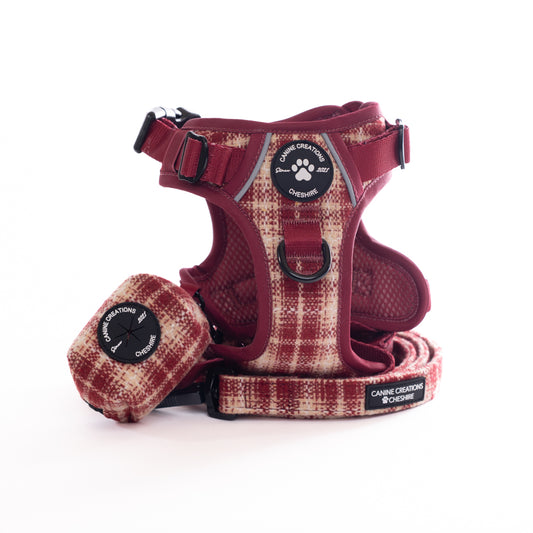 Harness, Lead & Poo Bag Bundle - The Very Berry Collection