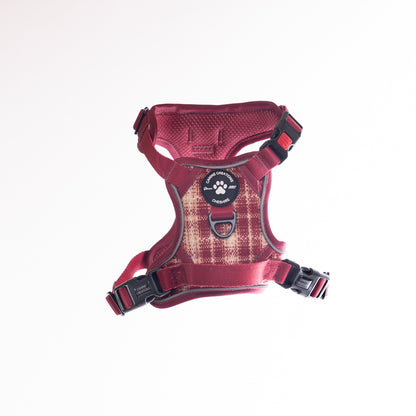 Harness, Lead & Poo Bag Bundle - The Very Berry Collection