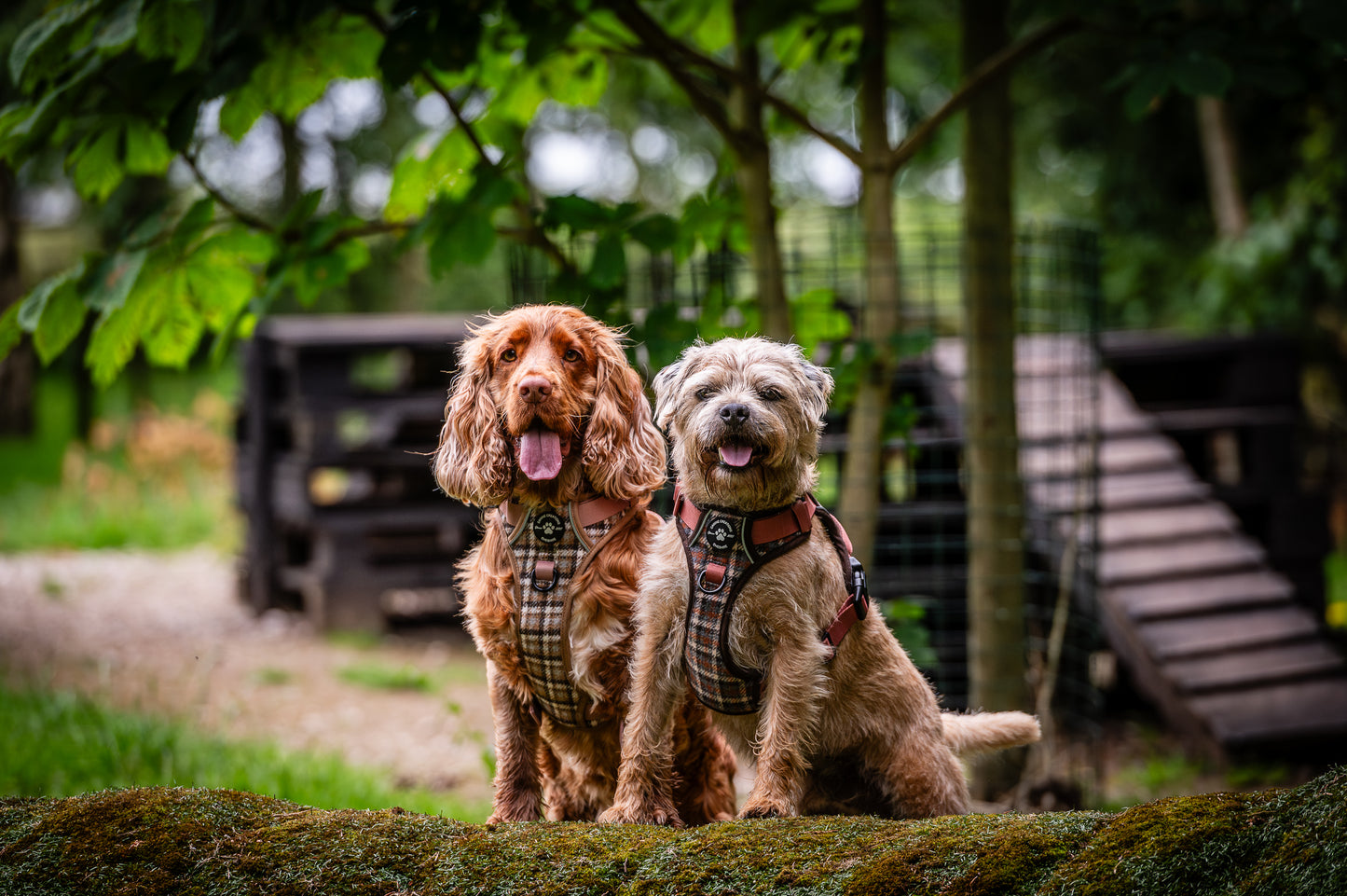The Cream Tweed Poo Bag Holder