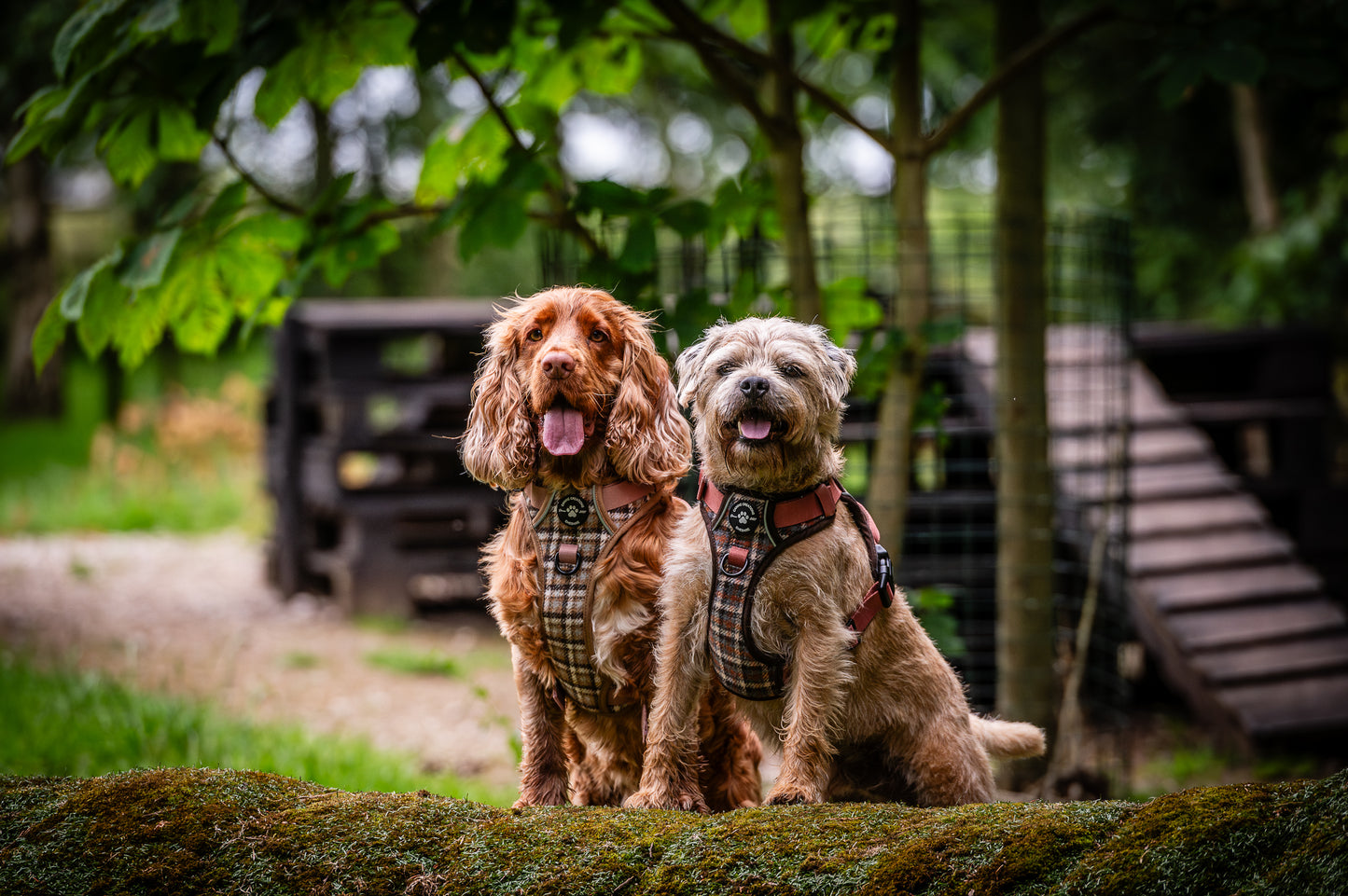 Harness, Lead & Poo Bag Bundle - Brown Tweed