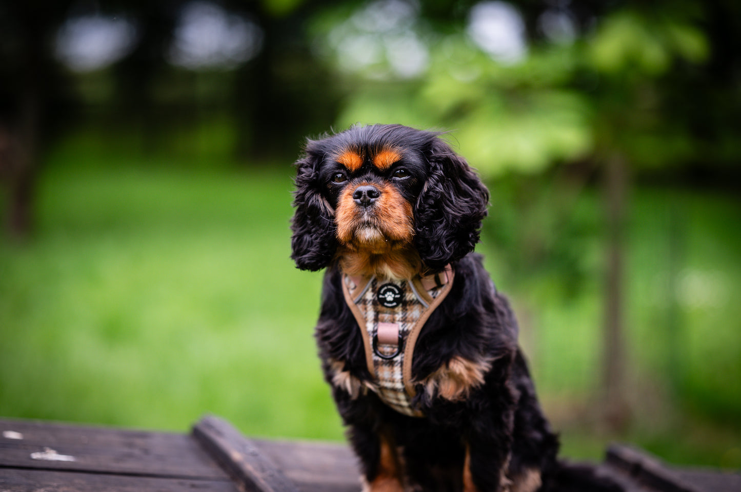 The Cream Tweed Poo Bag Holder