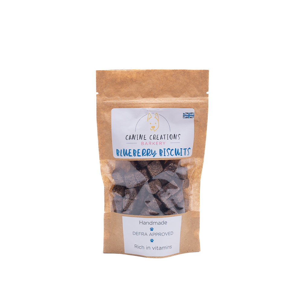 Blueberry and Coconut Biscuits