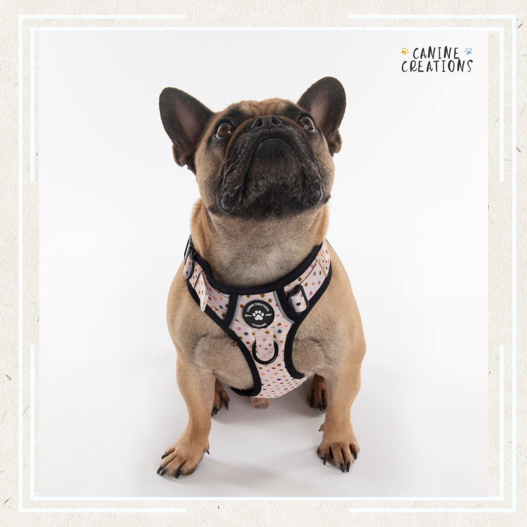 The Polka Dot Harness Small